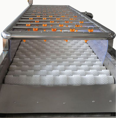 3.35KW 식품 가공 기계, 1000대 킬로그램 / Ｈ 스프레이 세정 기계