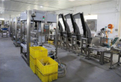20KW 병 충진 뚜껑봉함기, 1.2T 자동 수축 포장지 기계